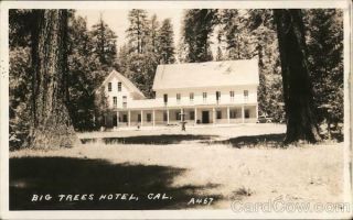 Rppc Calaveras,  Ca Big Trees Hotel San Joaquin County California Postcard Vintage