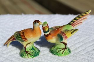 Vintage Spectacular Realistic Pheasant Salt And Pepper Shakers - Japan