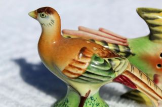 Vintage Spectacular Realistic Pheasant Salt and Pepper Shakers - Japan 4
