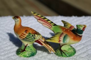 Vintage Spectacular Realistic Pheasant Salt and Pepper Shakers - Japan 5