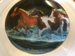 Danbury Horses For All Seasons Calendar Plate June