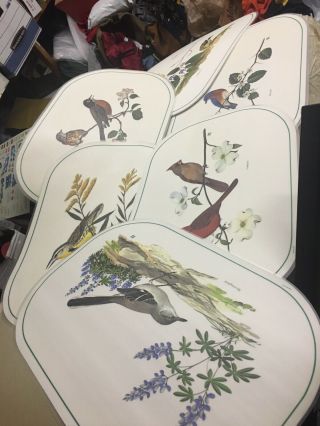 Vintage Set Of 6”songbirds Of America” Placemats By Chuck Ripper