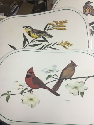 Vintage Set Of 6”Songbirds Of America” Placemats By Chuck Ripper 2