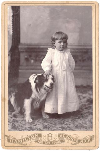 Cabinet Card: Cute Little Girl W Cute Big Dog.  By Hamilton,  St Johns,  Mich