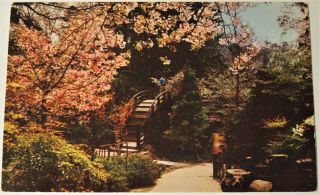 Arched Bridge In Japanese Tea Garden Golden Gate Park San Francisco Ca Postcard