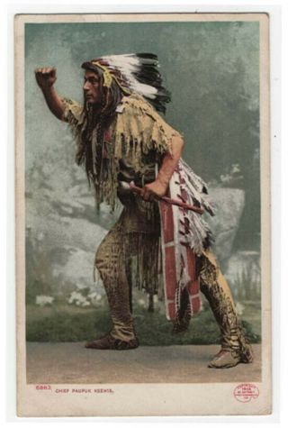 Vintage Native American Postcard,  Chief Paupuk Keewis,  1903