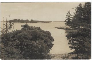 Rppc Real Photo Postcard,  Hog Island Audubon Camp,  Maine 1930 - 1940s