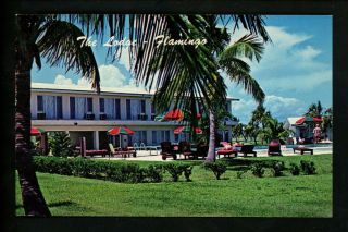 Motel Hotel Postcard Florida Fl Everglades National Park Flamingo The Lodge