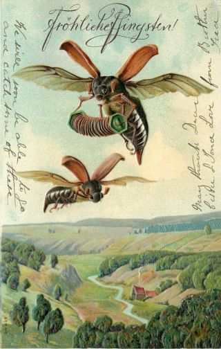 Embossed German Pfingsten Art Postcard May Beetle Playing Concertina Ser.  418