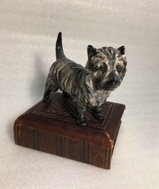 Rare Royal Doulton Dog Figurine Cairn Terrier Hn1034 Bone China Porcelain Toto