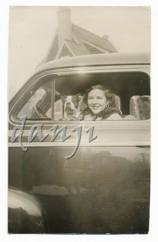 Boston Terrier Dog Staring Out Of A Car Window With Glamour Girl Old Photo