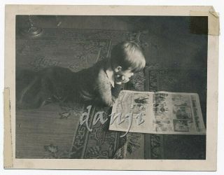 Intense Boy On Floor Reading A Newspaper Comic Strip W Beechnut Gum Ad Old Photo