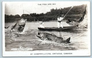 Postcard Canada Ontario Campbellford Exaggerated Fish Rppc Real Photo C1940s T3