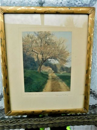 Wallace Nutting Hand Painted Photograph Signed Print " A Peek At The Hills "