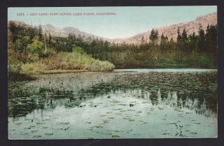 Old Vintage Lily Lake Glen Alpine Lake Tahoe California Ca Postcard