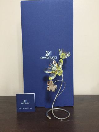 Swarovski Crystal Flower Deoria Yellow W/ Box And Certificate,  957583