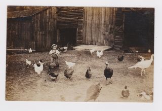 Child Feeding Chickens & Turkey Farming Black Americana Real Photo Postcard