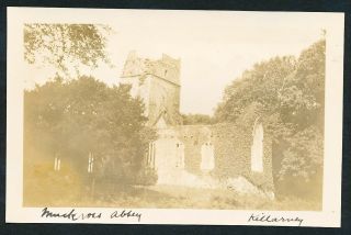 C.  1899 Muckross Abbey,  Killarney Ireland Vintage Photo