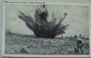 Vintage Postcard 1918 Titled Blasting Stumps - Camp Wadsworth Spartanburg,  So.  Caro