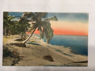 Vintage Postcard Hand Colored The Tropical Shore Winter Park Florida Unposted 2