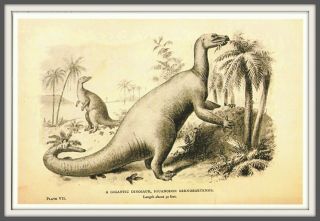 2014 Dinosaur Iguanodon Animals History Paleontology Art Joseph Smit Postcard