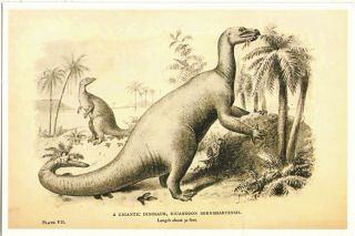 2014 DINOSAUR Iguanodon Animals History Paleontology Art Joseph Smit Postcard 2