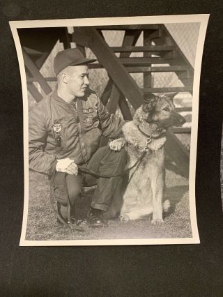 Us Air Force Military Dog German Shepherd 8x10 B&w 1960 