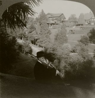 Keystone Stereoview Of The Busch Gardens In Pasadena,  California Set 1910 