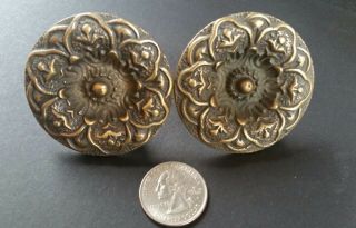 2 Antique Solid Brass Screw On Large Round Knobs Floral Design 2 " Dia Z27