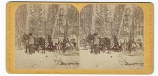1871 Among The Pines Jewells Team & Crew Clam River Wi Stereoview Zimmerman