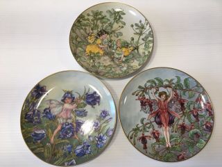 Set Of 3 Flower Fairies Collector Plates
