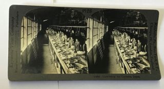 Set of 5 Stereoscopic View Cards Scenes of Japan Keystone View Company 4