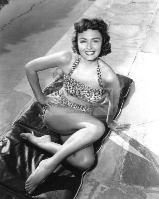 Actress Donna Reed Pin Up - 8x10 Publicity Photo (rt530)