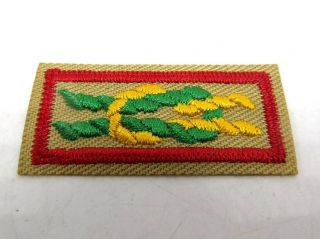 Boy Scout Patch Bsa Square Knot Patch - James West Fellowship Award -