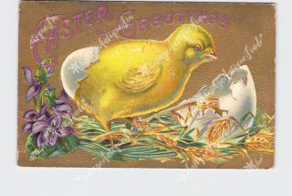 Ppc Postcard Easter Greetings Chick Hatching Wheat Violets Embossed Gold Backgro