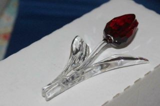 2003 Swarovski Red Tulip Renewal Gift 626481 Limited Edition