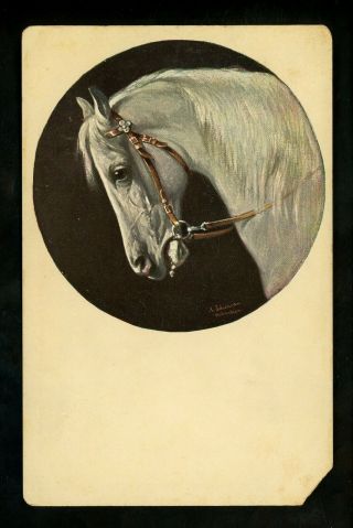 Horse Postcard German American Novelty Art Series 582 Printed Germany Vintage