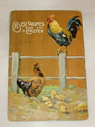 Vintage Easter Postcard Rooster On Fence W/Hen Chicken & Baby Chicks Early 1900s 2