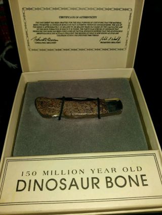 Santa Fe Stoneworks Dinosaur Bone Brontosaurus 5 1/2 " Folding Pocket Knife,