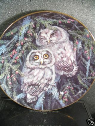 Danbury 1988 Boreal Owls Dick Twinney Baby Owls Ltd Ed Plate