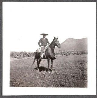 Vintage Photograph Sombrero Cowboy Vaquero Rodeo Charro Horse Mexico Old Photo