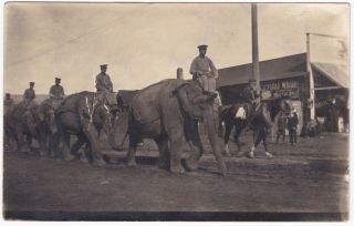 Postcard Rppc Elephants Circus Parade Crystal White Soap 1910 San Luis Obispo B5