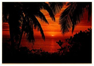 Bahamas Sunset Reds,  Golds,  Greens Reflected In Clear Waters Chrome Pc Sent 1985