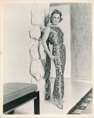 June Allyson 1950s 8 X 10 Tv Glamour Fashion Press Photo Dbw Vv