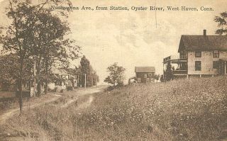 Vintage Postcard - Nashawena Ave. ,  From Station,  Oyster River,  West Haven,  Cn