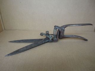 Vintage ' W ' Cast Iron Grass Clippers Garden Shears Tool Great Decorator Item 2