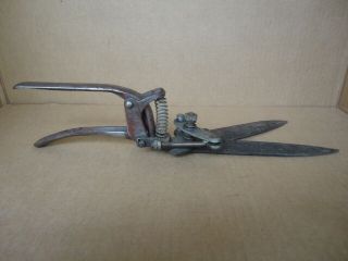 Vintage ' W ' Cast Iron Grass Clippers Garden Shears Tool Great Decorator Item 3