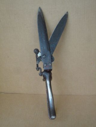 Vintage ' W ' Cast Iron Grass Clippers Garden Shears Tool Great Decorator Item 4