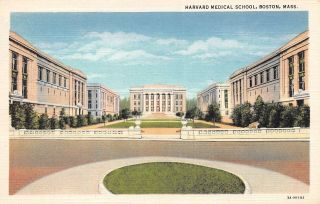 C19 - 5353,  Harvard Medical School,  Boston,  Mass. ,