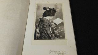 7216 1910s Japanese Old Photo / Portrait Of Young Woman Reading Book W Back View